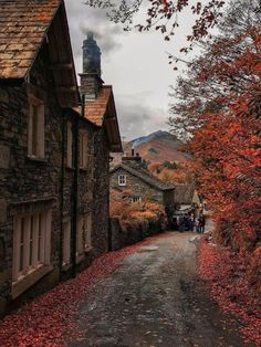 a narrow road with houses on both sides and autumn leaves covering the ground in front