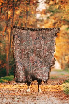 a blanket draped over a dirt road with trees in the background and leaves on the ground