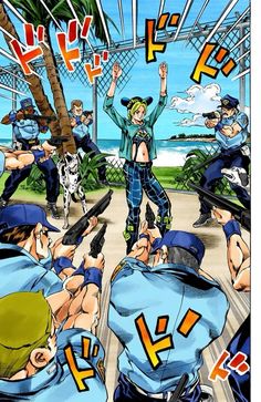 Jolyne Kujo, Jolyne Cujoh, Green Dolphin, Goo Goo Dolls, Joseph Joestar, Jojo Parts, Shōnen Manga, Jotaro Kujo, Shaman King