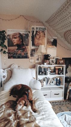 a dog laying on top of a bed in a bedroom