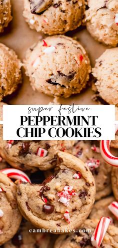 peppermint chocolate chip cookies with candy canes in the middle and on top