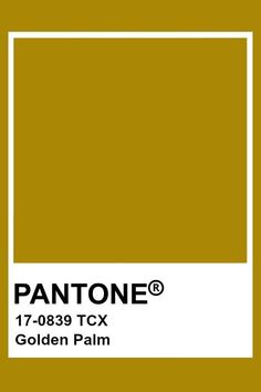 pantone's golden palm color is shown