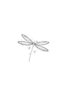 a black and white drawing of a dragonfly