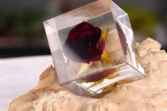 a single red rose in a glass block on top of a white tablecloth covered surface