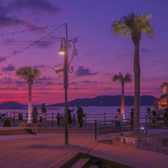 people are walking on the boardwalk at dusk with palm trees and lights in the background