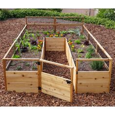 a wooden garden bed with plants growing in it