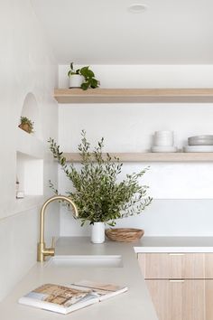 a white kitchen with wooden shelves and plants on the counter top, along with a magazine