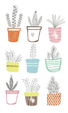 potted plants are arranged in different colors