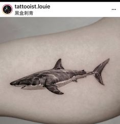 a black and white photo of a shark tattoo