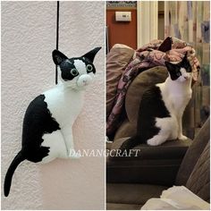 two pictures side by side one has a black and white cat hanging from the ceiling