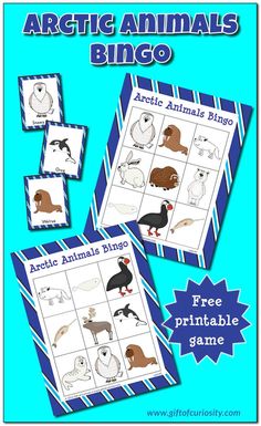 an arctic animals bingo game for kids to play