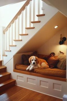 under stairs ideas, space under stairs, under the stairs ideas, under staircase ideas, dog room ideas, dog room under stairs, dog nook, dog mud room ideas, under stairs storage solutions, under stairs nook, under stairs pantry, bar under stairs, under stairs storage, closet under stairs organization, under stairs closet organization