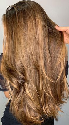 Light Brown Golden Hair, Golden Hair Color, Rambut Brunette, Golden Brown Hair, Golden Blonde Hair, Honey Blonde Hair, Brown Hair Balayage, Dark Blonde Hair