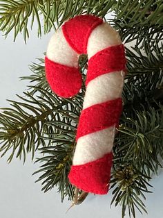 a candy cane ornament hanging from a christmas tree