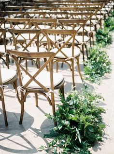 rows of wooden chairs lined up next to each other with greenery on the ground