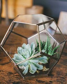 a glass terrarium filled with succulents on top of a wooden table