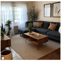 a living room filled with furniture and potted plants in front of a window on top of a rug