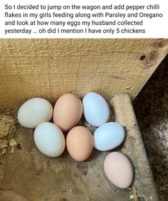 six eggs are sitting in a pile on the ground