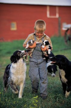 a young boy holding puppies in his hands while standing next to two other dogs