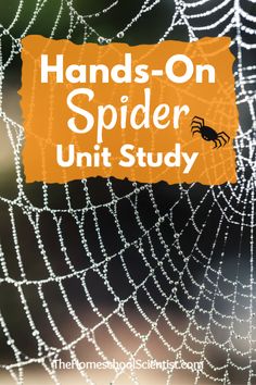 a spider web with the words hands - on spider unit study