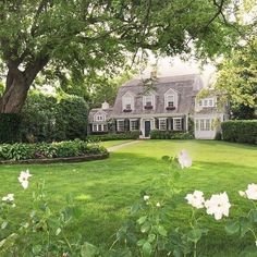 a large house surrounded by lush green grass and trees with white flowers in the foreground