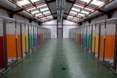 an empty room with rows of colorful lockers