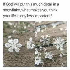 snowflakes that are on the ground and in front of each other with words above them