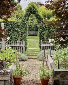 an outdoor garden with many plants and flowers in pots on either side of the path