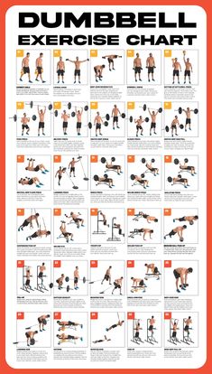 the dumbbell exercise chart shows how to do it