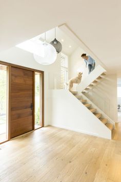 a man and his dog are walking up the stairs in this modern house with wood floors