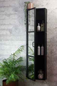 a tall black cabinet sitting next to a potted plant and a wall mounted mirror