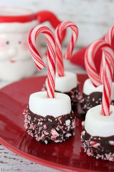 candy canes and marshmallows are arranged on a red plate