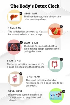 Our biological makeup dictates that we are naturally inclined to be active during daylight hours and to rest during the night. Within each of us ticks a personal body clock, orchestrating our circadian rhythm. Acknowledging and respecting these innate rhythms is likely far more crucial for our overall health than commonly acknowledged. It's not solely lack of sleep that impacts our well-being; interference with our body's natural cycles can influence mood, cognitive sharpness, appetite, and cardiovascular health. Yet, various factors can throw our internal clocks off balance, likely stemming from a blend of genetic predisposition and lifestyle decisions. Circadian Rhythm Diet, Circadian Rythym, Circadian Rhythm Chart, Circadian Clock, Hormone Nutrition, Biological Clock, Natural Cycles, Body Clock, Healthy Hormones