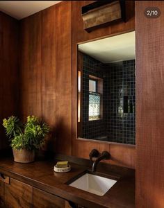 a bathroom sink sitting under a mirror next to a potted plant on top of a wooden counter