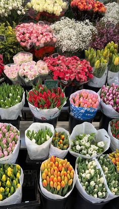 many different colored tulips in baskets on display for sale at a flower shop