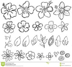 a set of hand drawn flowers on white background stock photo, images and royalty illustrations