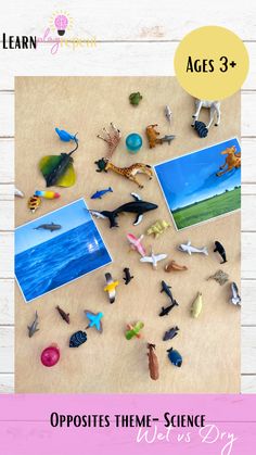 an assortment of sea life on a table with text overlay that reads opposites theme science