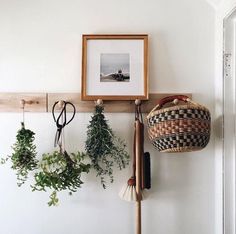 some plants are hanging on the wall with pictures and hooks in front of them,