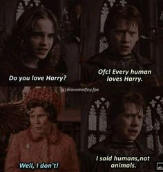 the characters in harry potter's movie are talking to each other about their love