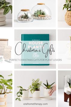 various christmas gifts for plant lovers