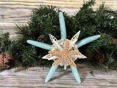 a starfish ornament sitting on top of a table next to pine cones