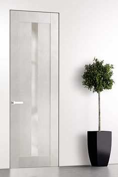 a potted plant sitting next to a tall white door in a room with no one inside