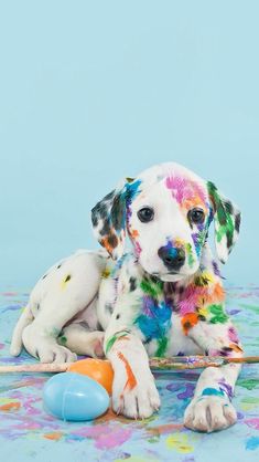 a puppy is laying on the floor with paint all over it's body and paws