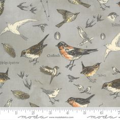 a gray background with small birds and words on the back of it, as well as a ruler