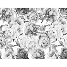 black and white floral wallpaper with large flowers on the left side, in front of a