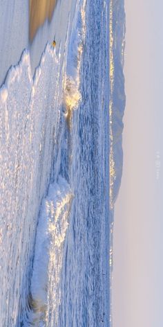 an animal is standing in the snow next to some ice covered rocks and water with its tail sticking out