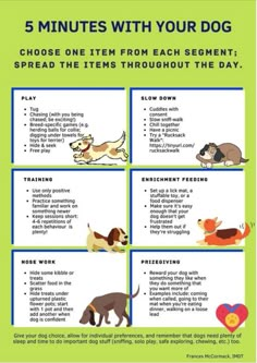 the 5 minutes with your dog poster shows how to teach them about their favorite things