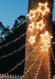 a tree that has some lights on it