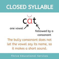 a poster with the words closed syllable and an image of a cat on it