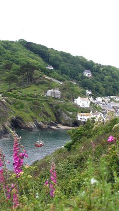 a small boat is on the water in front of some houses and hills with pink flowers